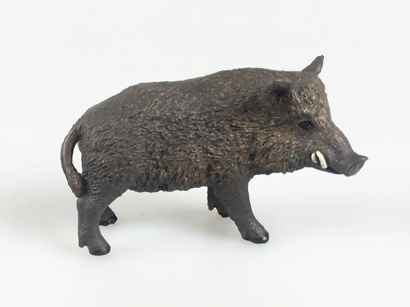 Wild Boar