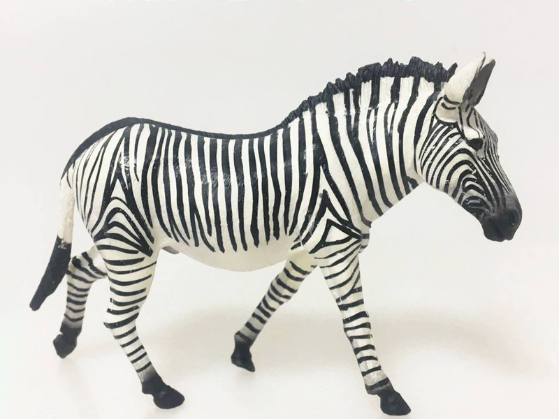 Grevy'S Zebra