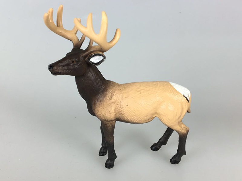 Newfoundland Reindeer