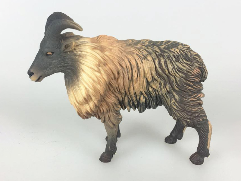 Himalayan Sheep