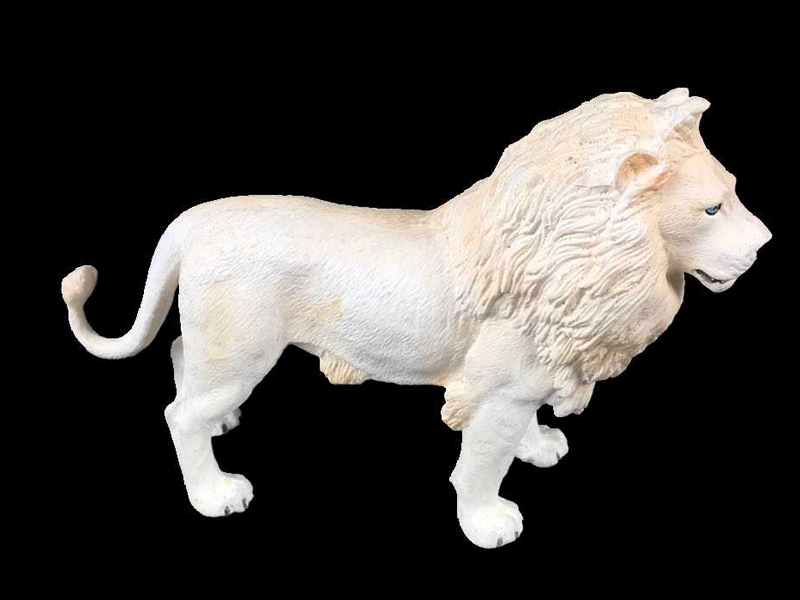 White Male Lion