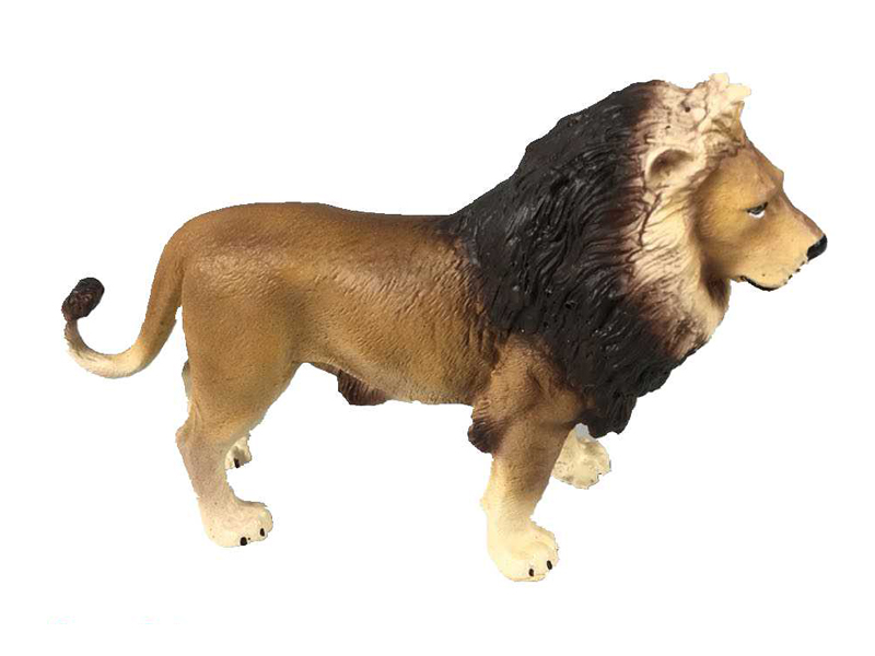 Red Male Lion