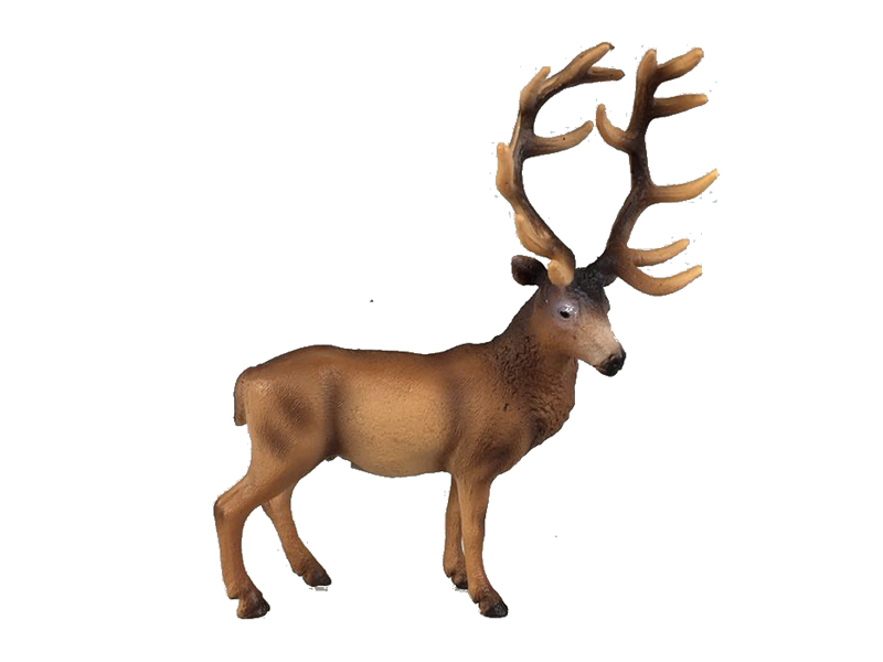 David'S Deer