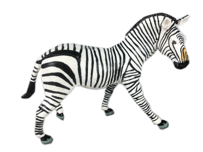 Grevy'S Zebra