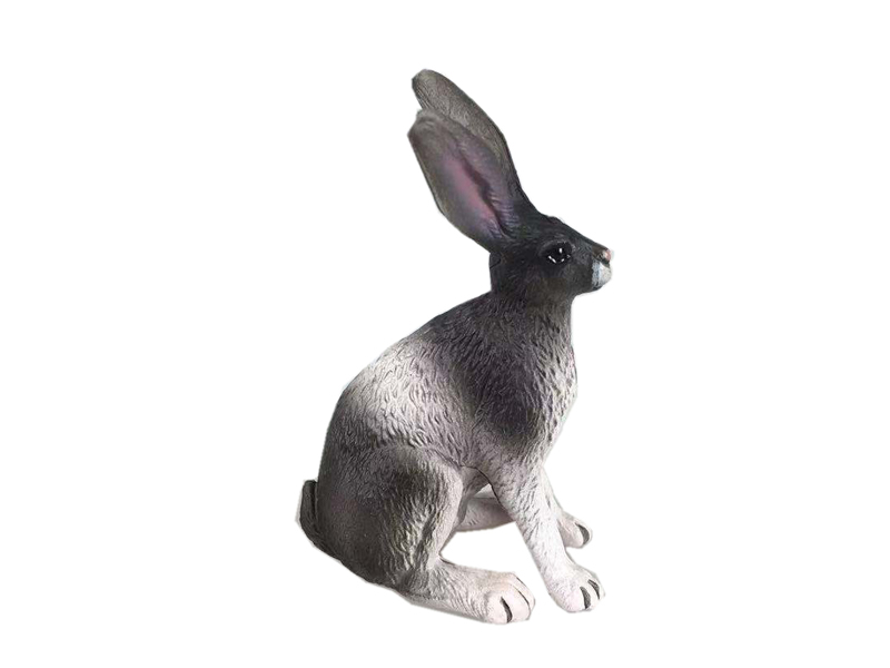 Scroll Rabbit