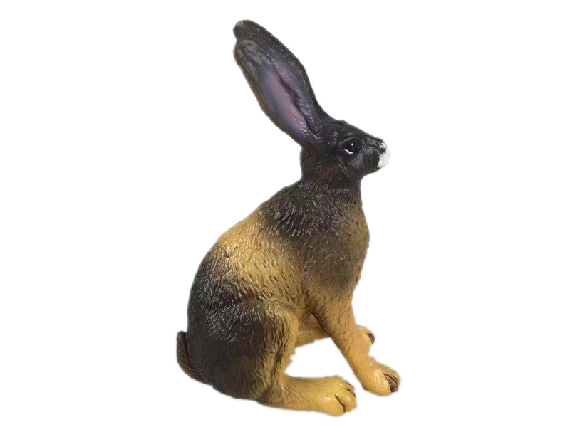 Scroll Rabbit