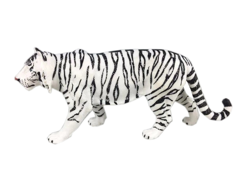 White Siberian Tiger