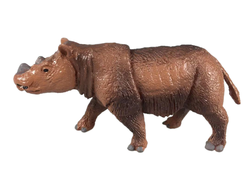 Rhinoceros