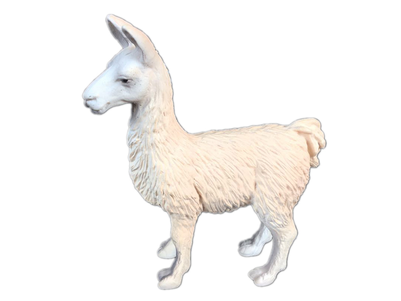 Alpaca