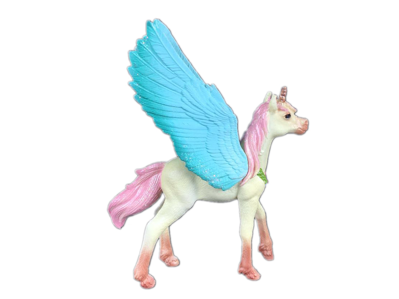 Coloured Pegasus
