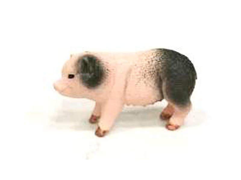 Piglet