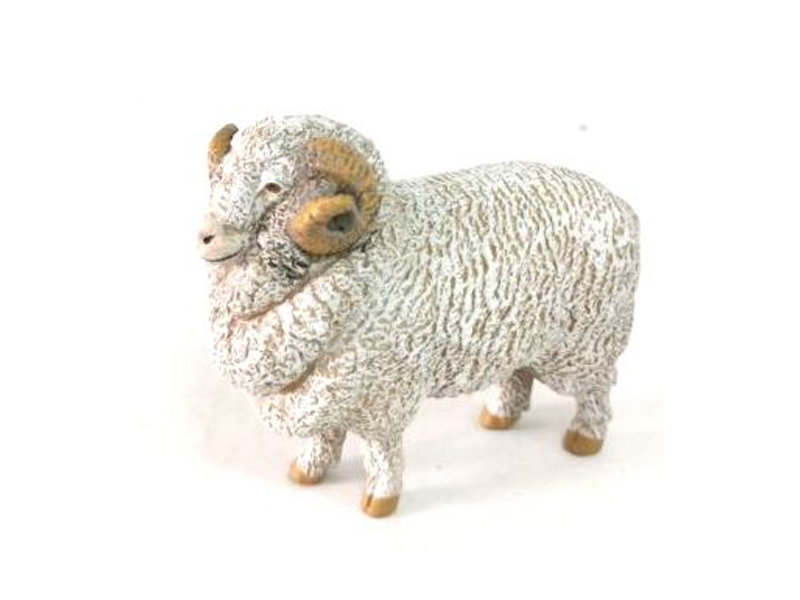 Beautiful Male Slave Sheep