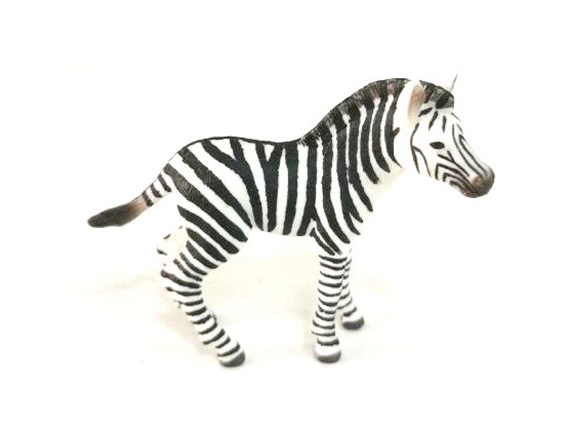 Little Zebra