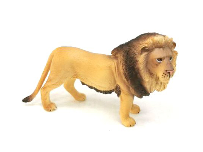 Male Lion