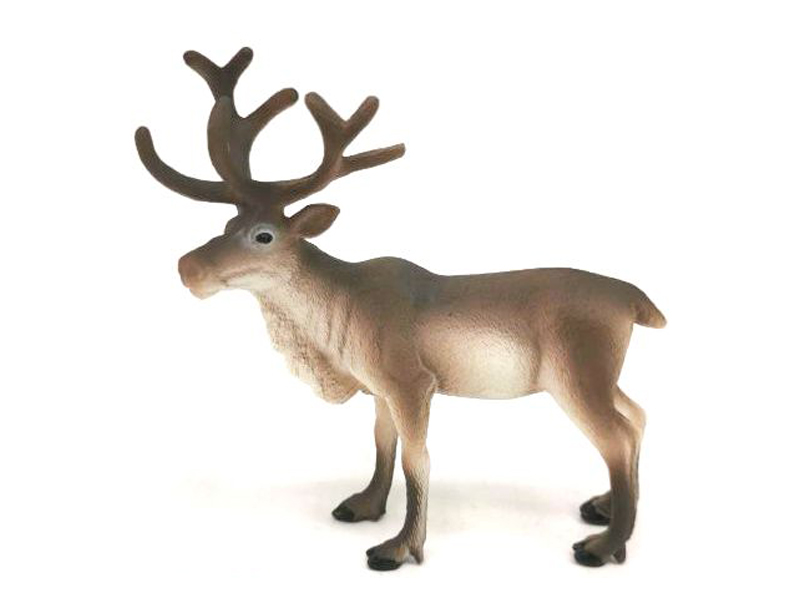 Reindeer