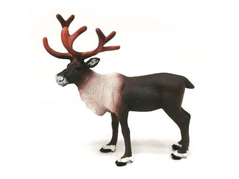 Reindeer