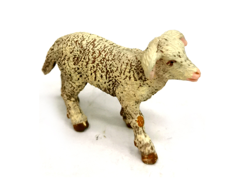 Beautiful Slave Lambs