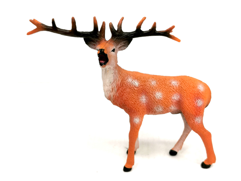 Male Deer