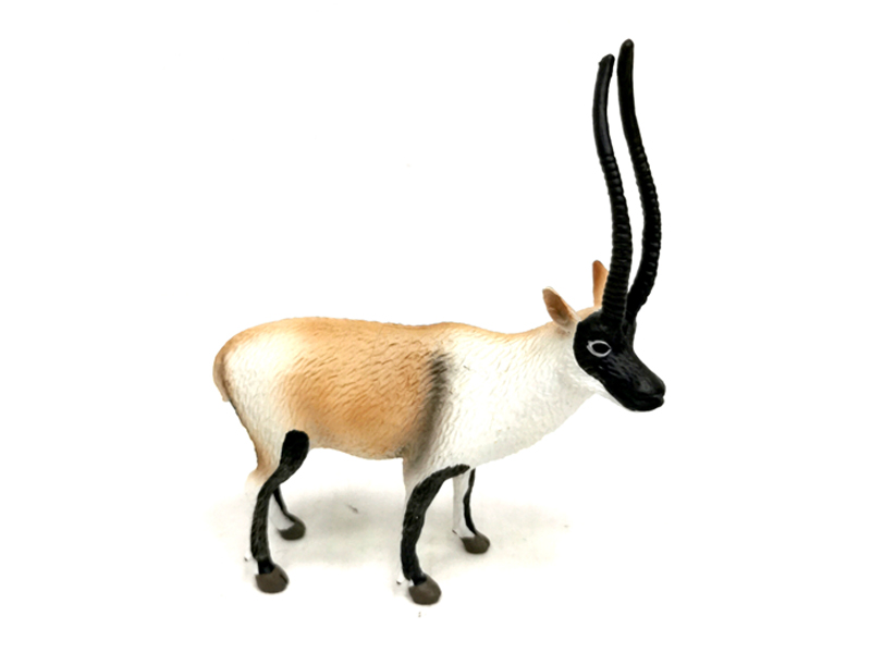 Tibetan Antelope