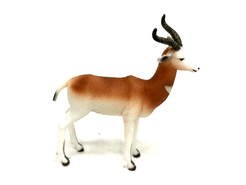 Cang Antelope
