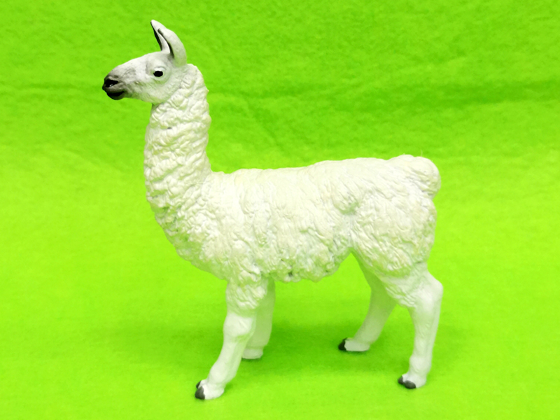 Alpaca