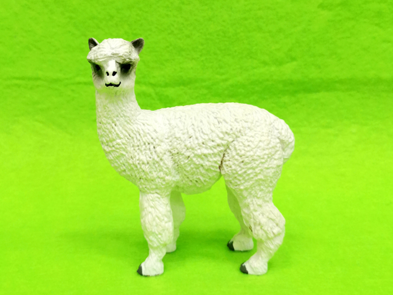 White Alpaca