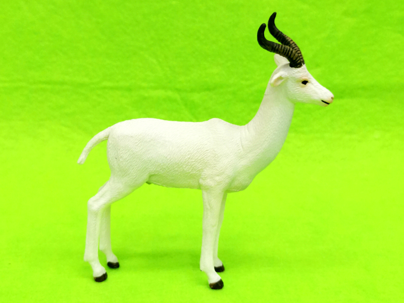 White Cang Antelope