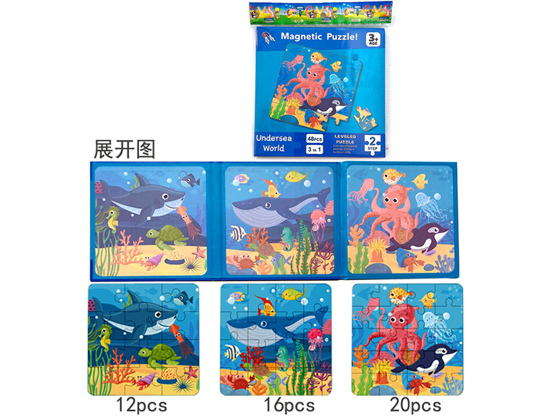 3 In 1 Advanced Magnetic Puzzle - Level 2 Underwater World