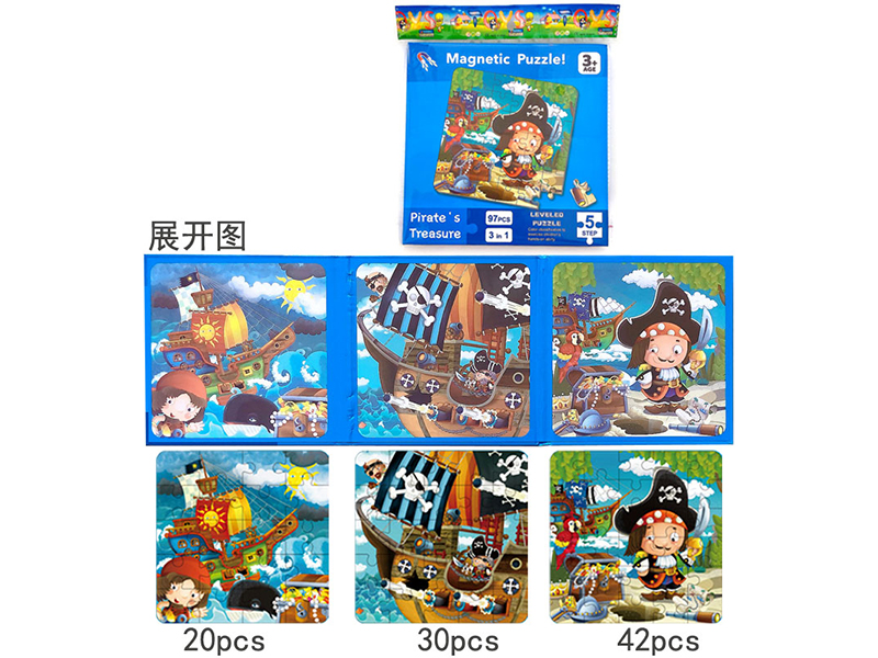 3 In 1 Advanced Magnetic Puzzle - Level 5 Pirate Physics