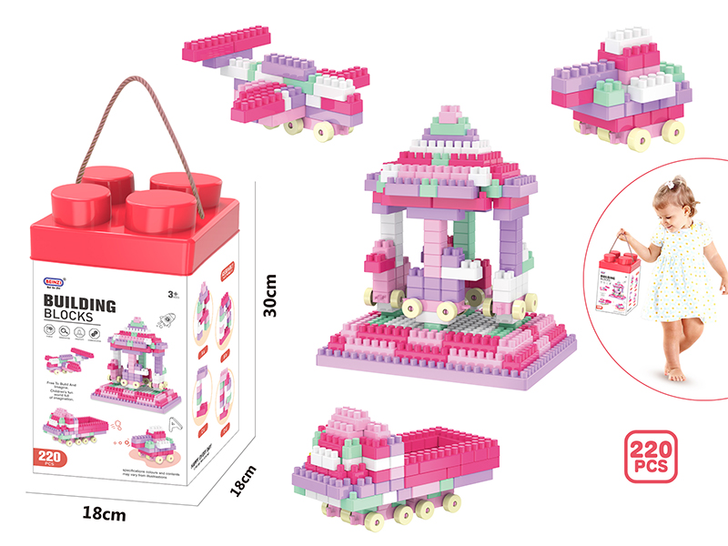Girl Building Blocks(220pcs)