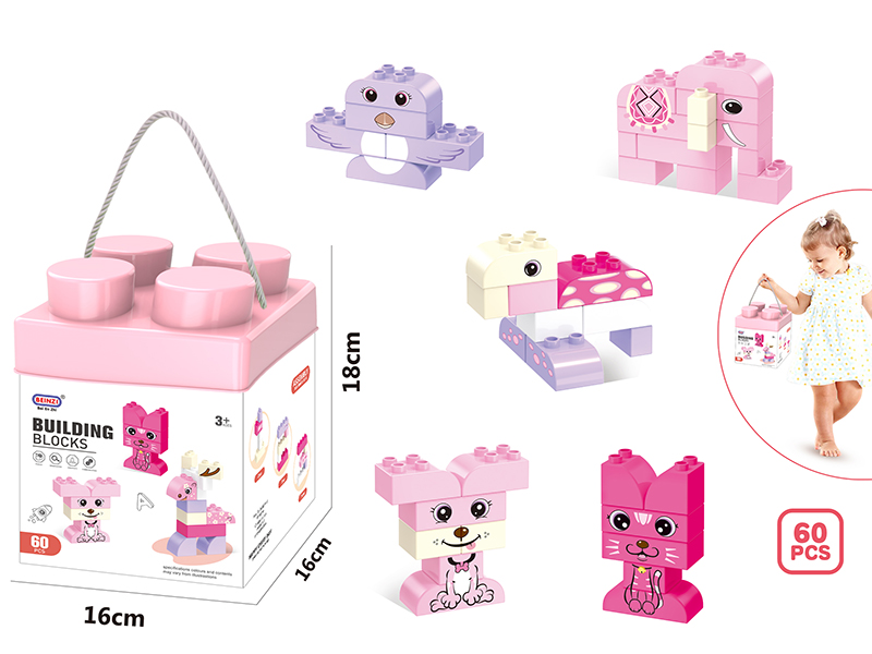 Girl Building Blocks(60pcs)