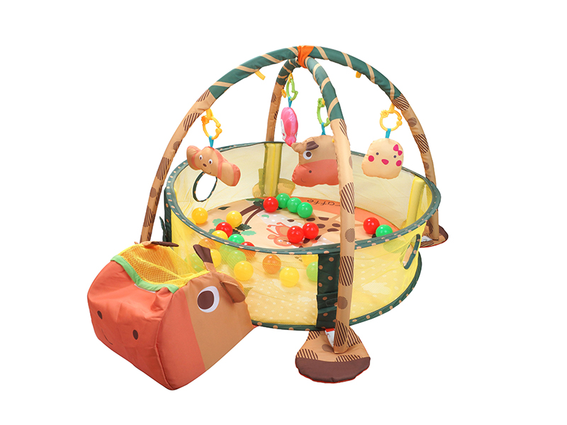 Baby Play Mat With 30 Ocean Balls