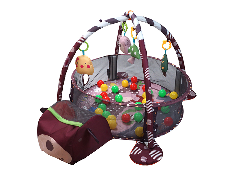 Baby Play Mat With 30 Ocean Balls