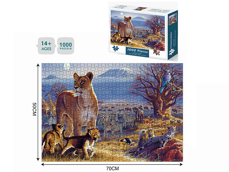1000 Piece Jigsaw Puzzle
