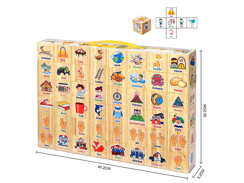 EVA Wood Grain Encyclopedia Building Blocks 48PCS