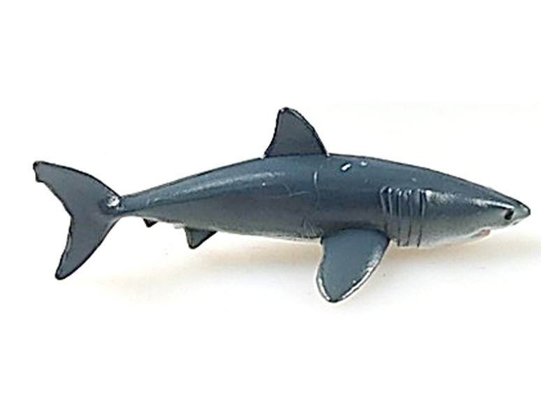 Great White Shark