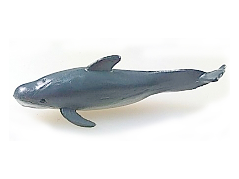 Sperm Whale