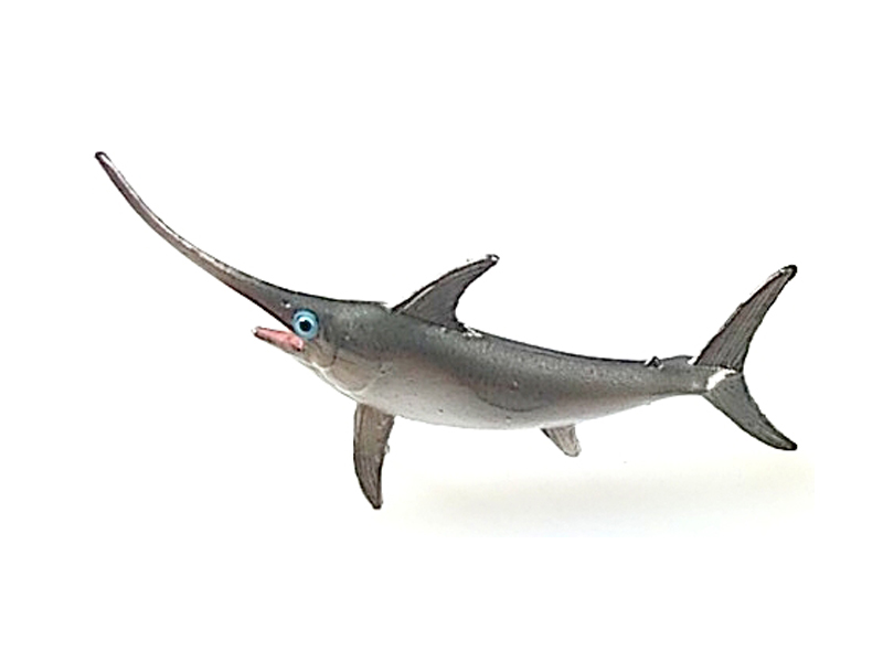 Swordfish