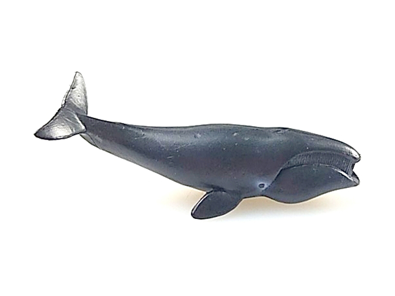 Bowhead Whale