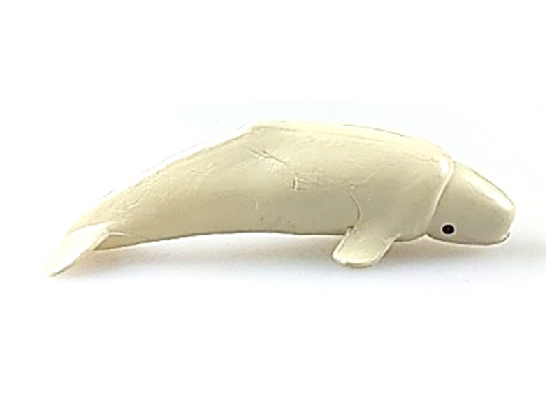 Bowhead Whale