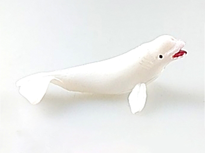 Beluga