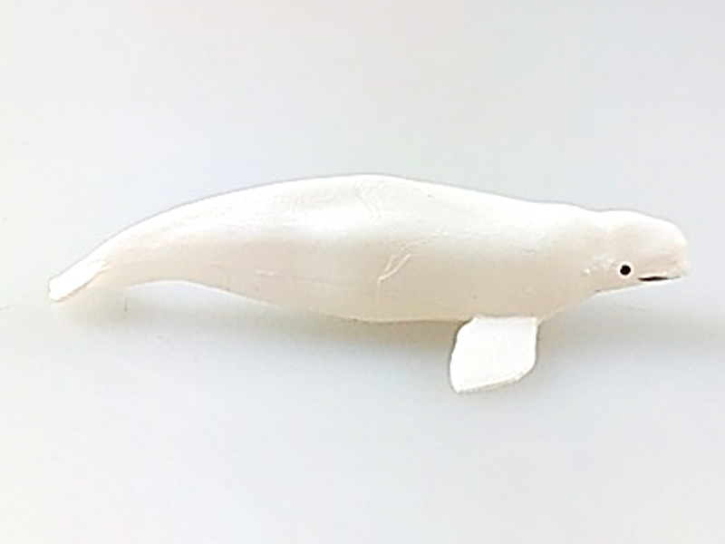 Beluga