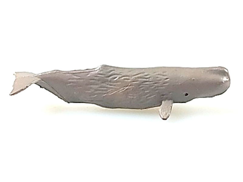 Sperm Whale