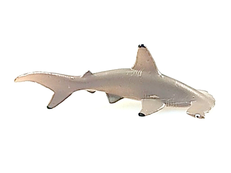 Hammerhead Shark
