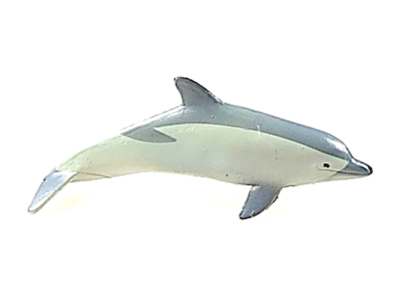 Dolphin