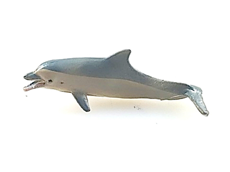 Dolphin