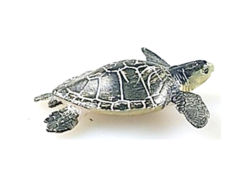 Black Turtle
