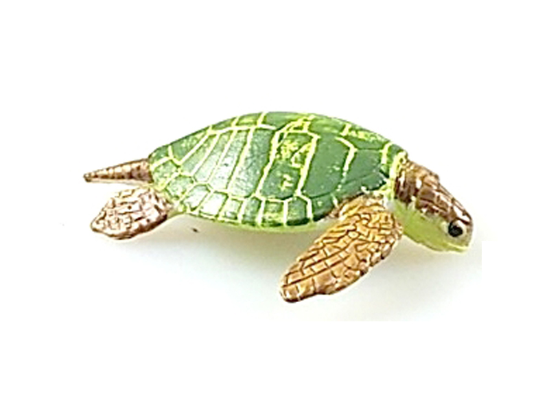 Green Turtle