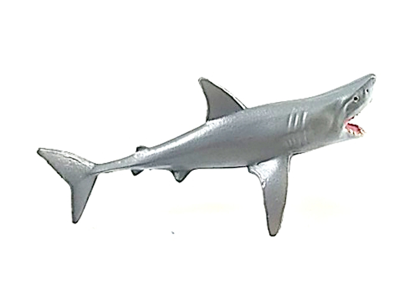 Megalodon