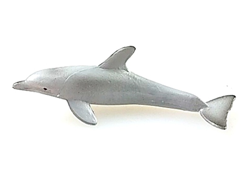 Dolphin